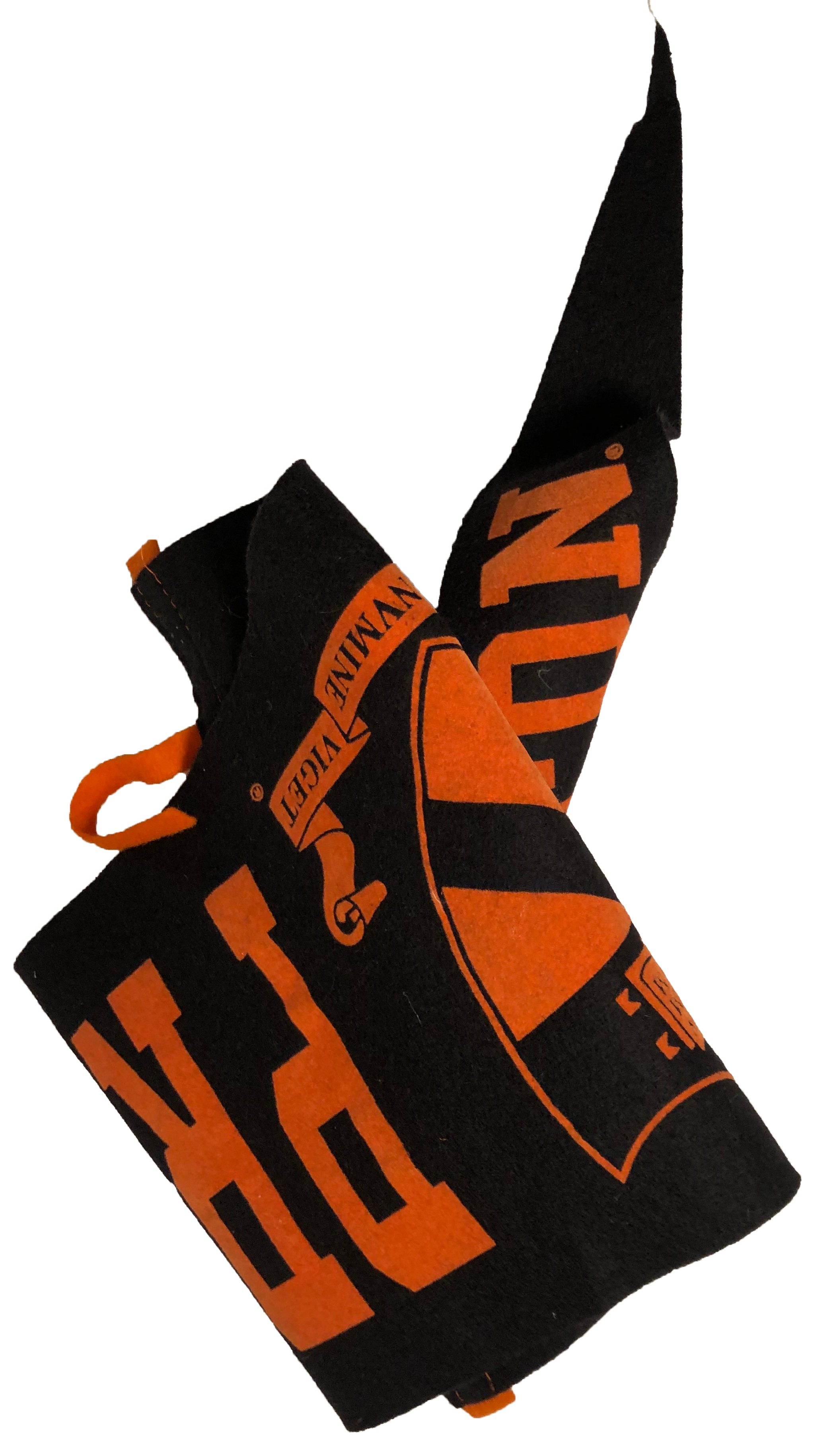 princeton banner